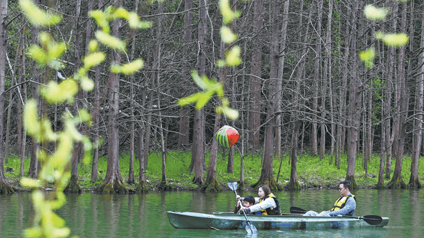 Shanghai's Green Leap: 1,000 New Parks by 2036