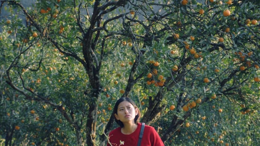 Himalayan Women's Stories Unfold in 'Shape of Momo'