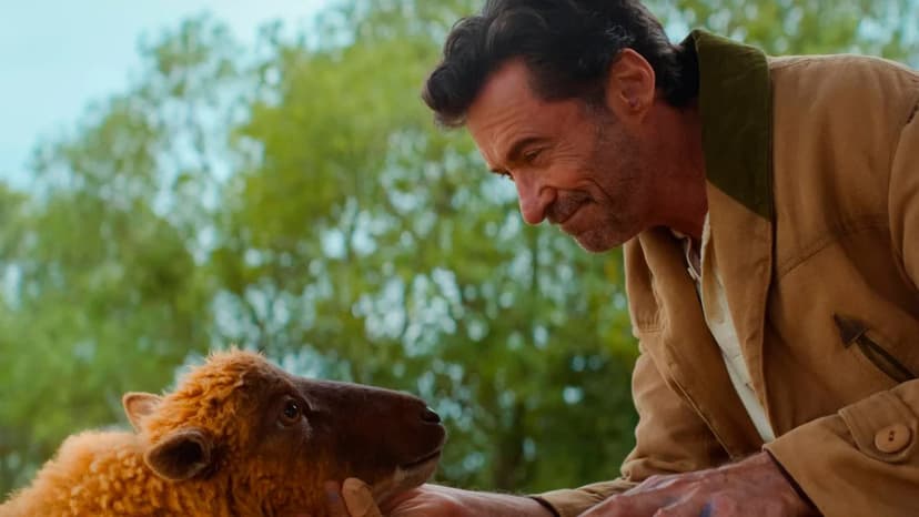 Sheep Solve Hugh Jackman's Murder Mystery