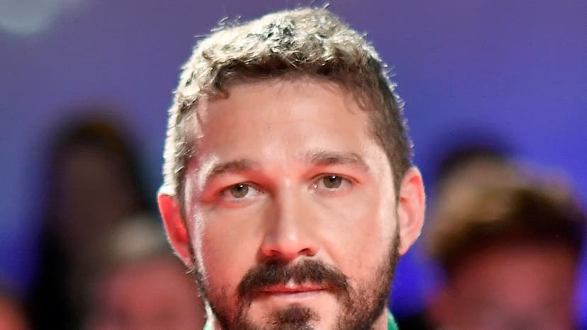 Shia LaBeouf Drinks Daily Post-Battery Arrest