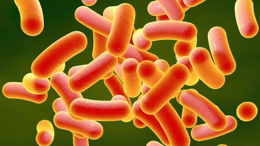 Warning: England Sees Major Spike in Sexually-Spread Superbug