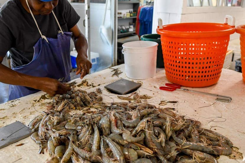 Shrimp Scams Persist: Restaurants Mislabel Imports