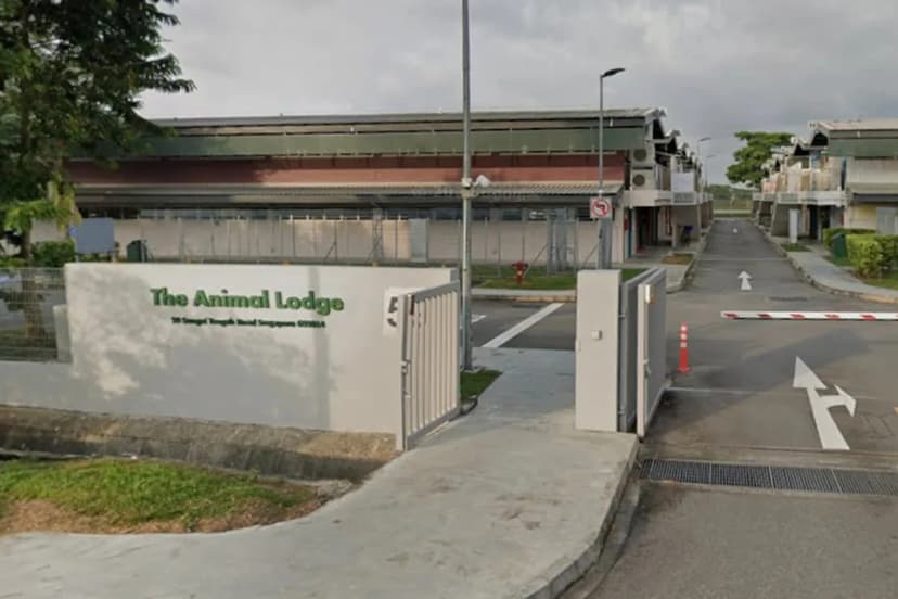 Animal welfare group evicted over massive rent debt