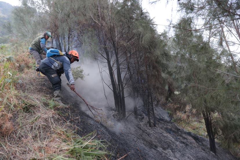 Singapore Tackles Indonesian Firms Over Forest Fires