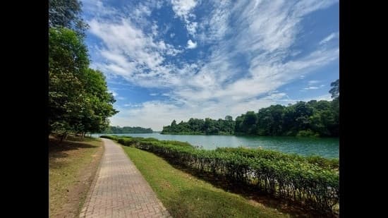 Singapore's Water Crisis: NEWater Offers Hope