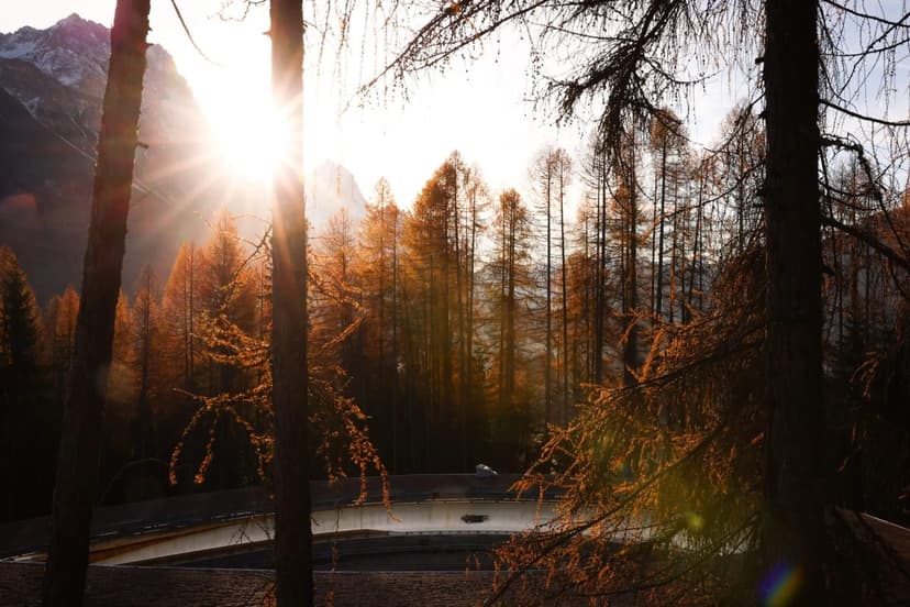 Skeleton Race Scandal: Points Manipulation Rocks Olympic Hopes