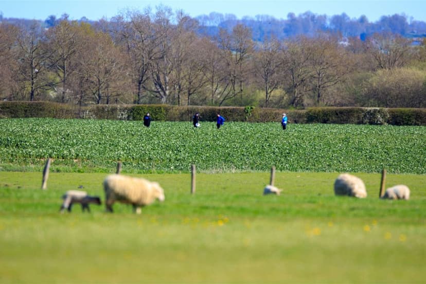 Skydiver's Fatal Leap Shocks Easter Jumpers