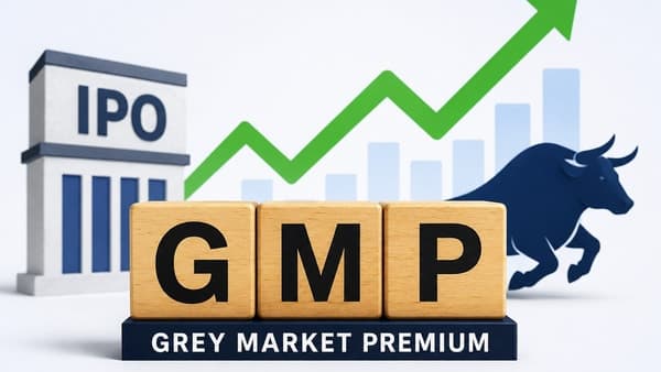 Skyways IPO Surges: Grey Market Hints at ₹175 Listing