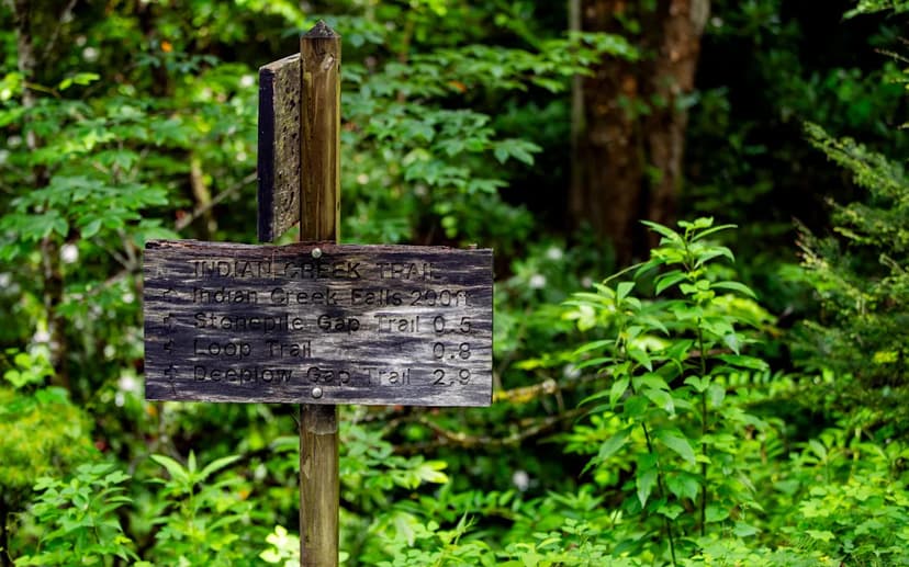 Great Smoky Mountains Assault: Public Tips Sought