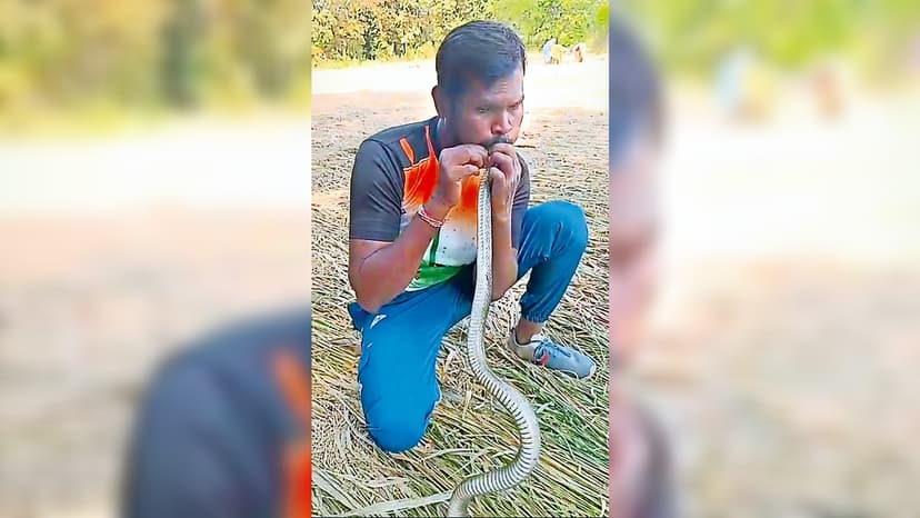 Brave Rescuer Revives Snake with CPR in Gujarat
