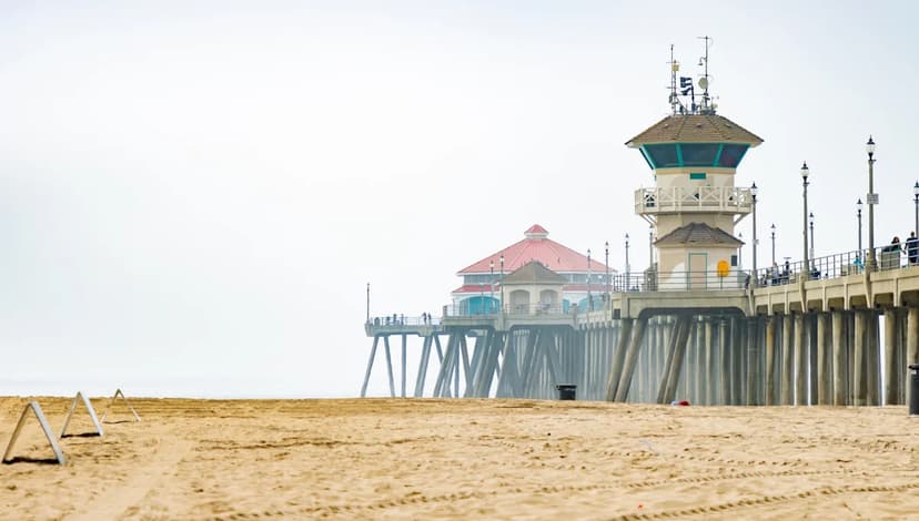 SoCal Coyotes on the Move: Wildlife Experts Issue Spring Warning