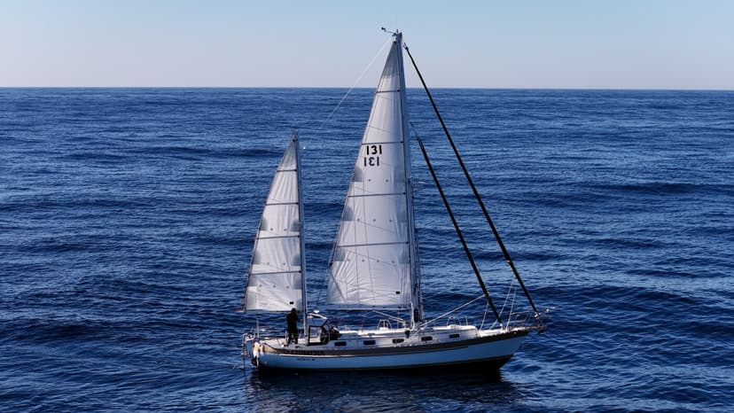 Solo Sailor Braves Arctic Ice for Climate Research