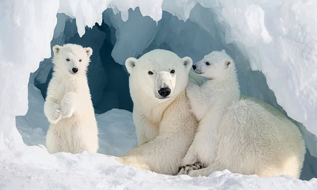 World's Best Photos: Finalists Revealed!