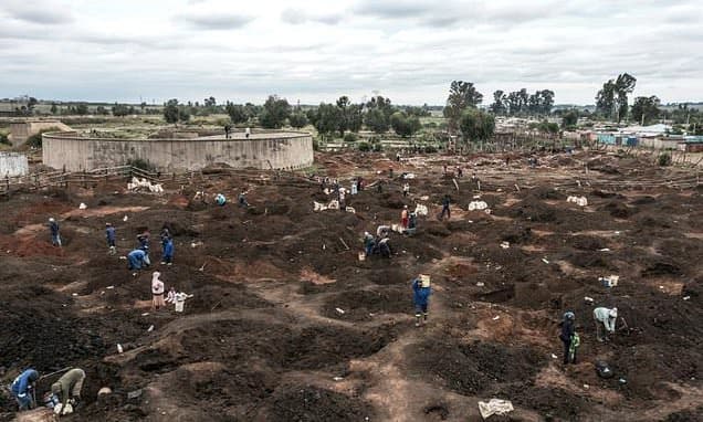 South Africa Sees New Gold Rush Fever Erupt