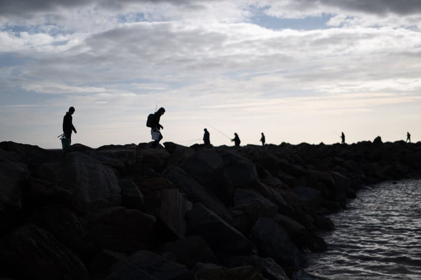 Oysters Rise Again: SA's Reefs Roar Back to Life