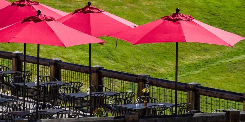 Woman Killed by Restaurant Umbrella in South Carolina