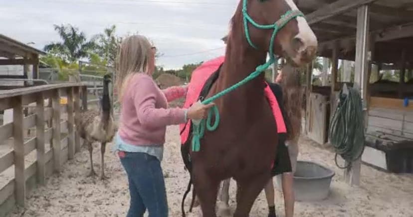 Cold Snap Threatens South Florida Ranch Animals