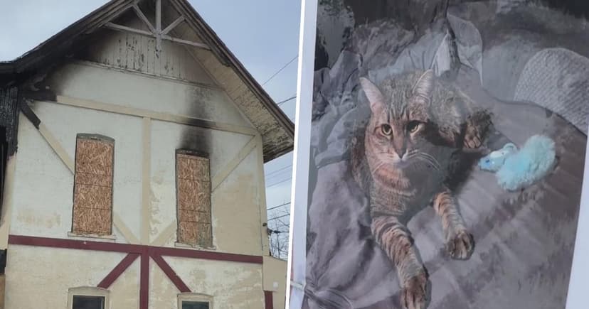 Michigan Duplex Fire Leaves Families Devastated