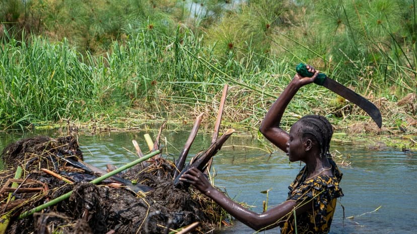 South Sudan Floods Force Island Building