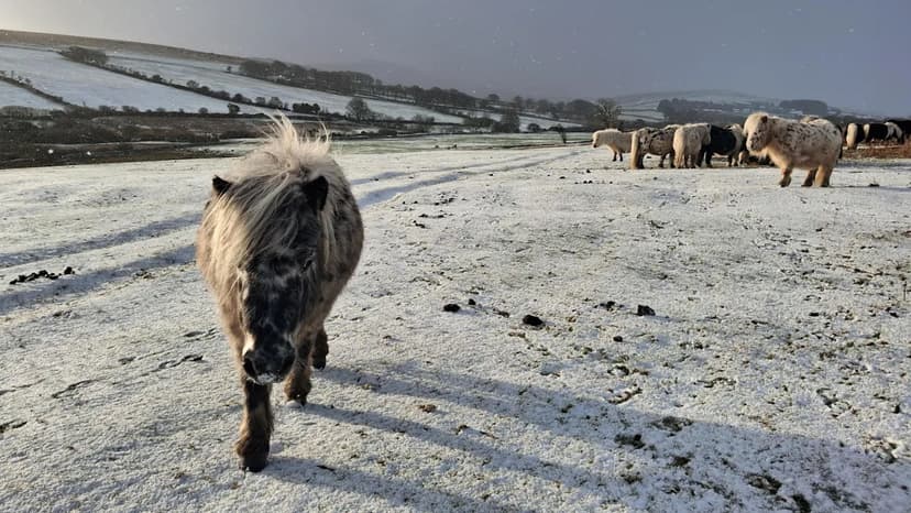 South West faces icy weekend warning