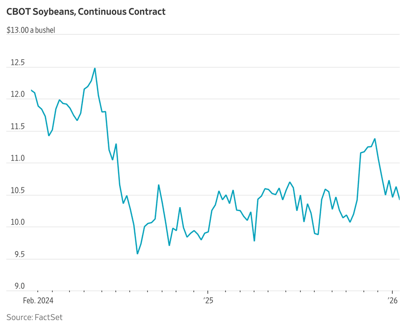 Soybean Slump: China Deals Fade, Brazil Floods Market