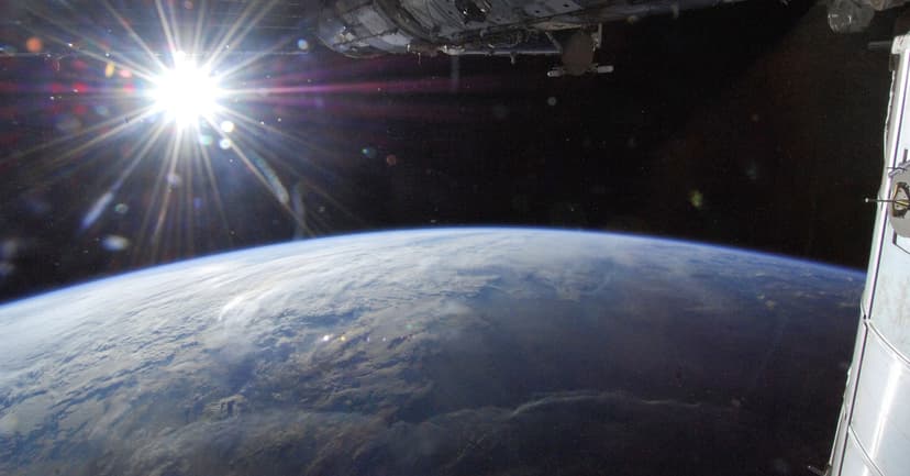 Space Babies: Gravity's Role in Reproduction?