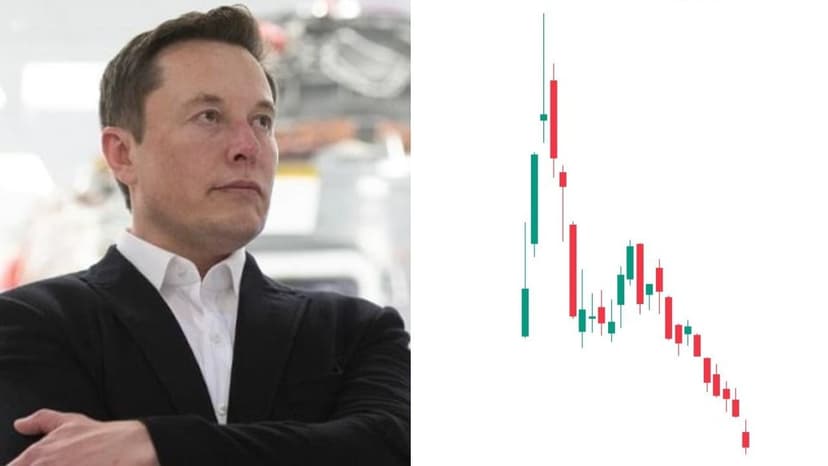 Musk's Net Worth Plummets as SpaceX Stock Crashes