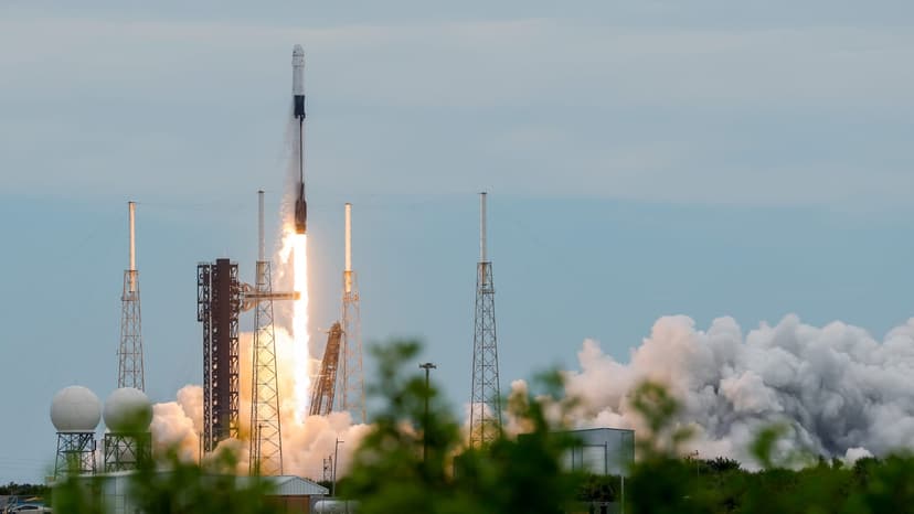 SpaceX Stock Surges, Elon Musk Reclaims Trillionaire Status