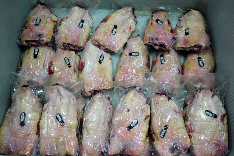 Swine Fever Threatens Spain's Billion-Euro Pork Exports