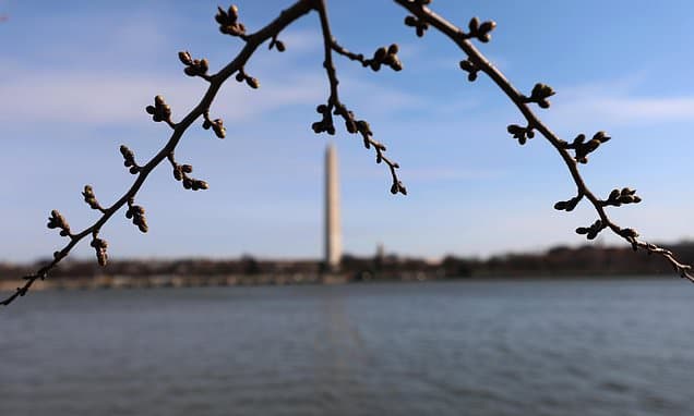 Earth's Tilt Aligns: Spring Begins Friday!