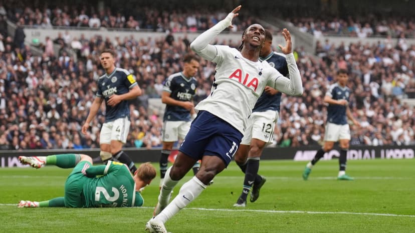 Spurs Optimism Despite Newcastle Defeat