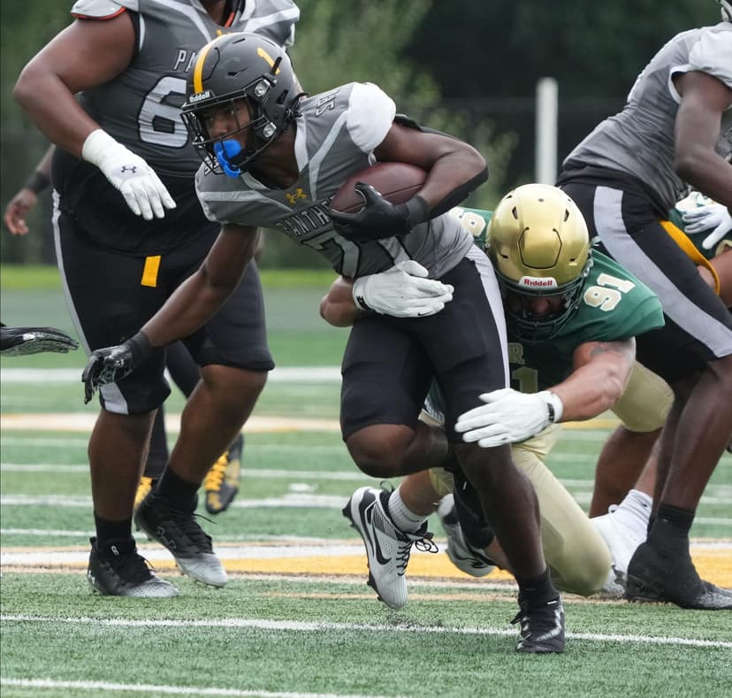 Panthers' Title Hopes Revived in Overtime Nationals Clash