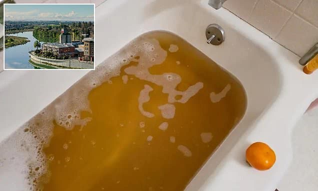 Napa Valley's Brown Water Blight