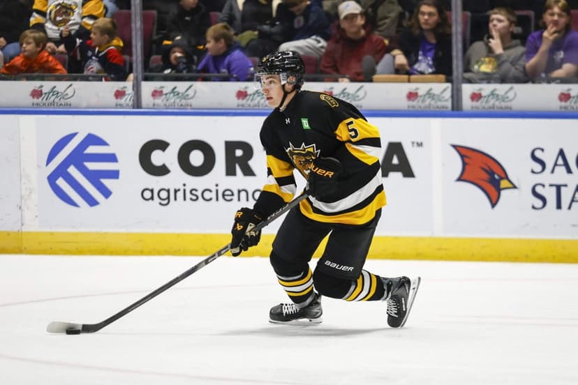 Blues Prospect Pipeline: Jiricek, Mailloux Eyed for Future