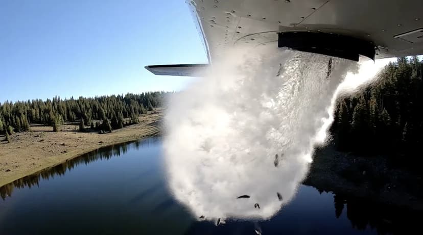 States Stock Non-Native Fish, Damaging Ecosystems