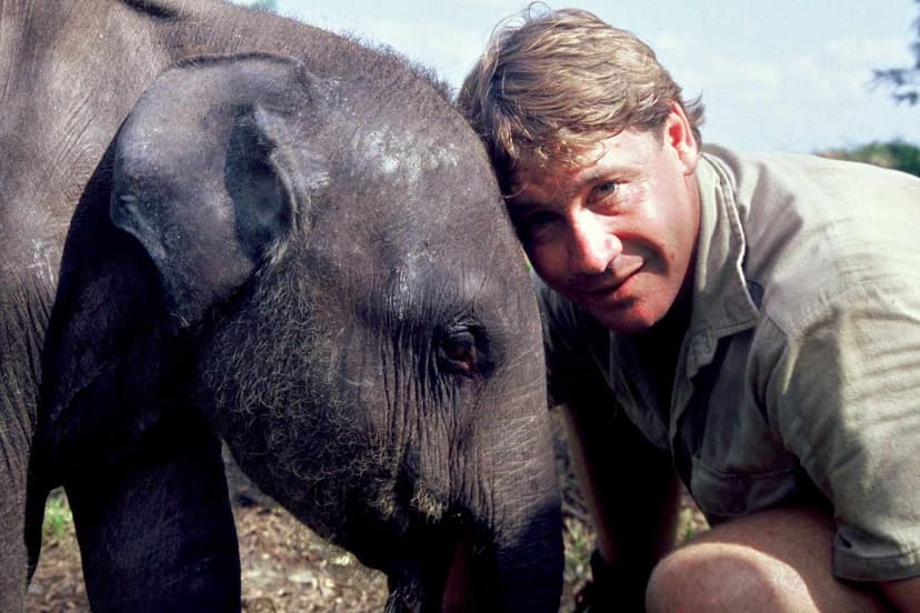 How Steve Irwin's Message Lives On 20 Years Later