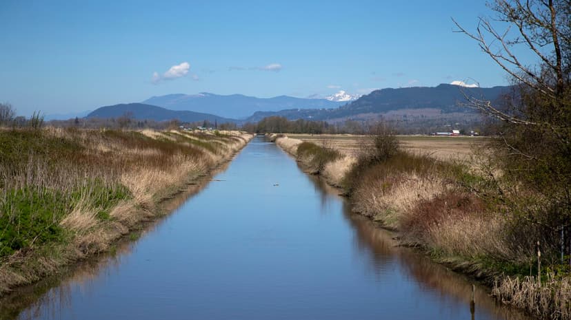 Tribe Restores Wetlands, Salmon Nursery