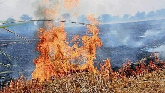 Stubble Burning Crackdown: Farmers Face Ban, Seizures