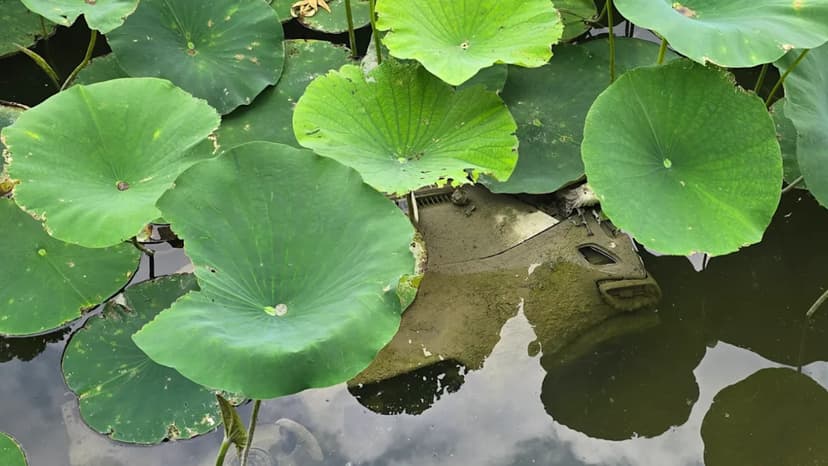 Michigan Woman Finds Car Submerged in Pond