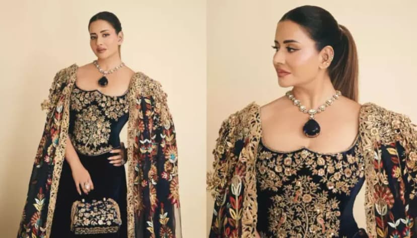 Sudha Reddy Dazzles Met Gala With $15M Tanzanite