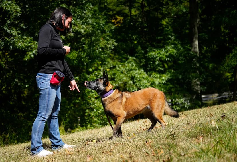 Cincinnati Woman Trained 'Superman' Movie Animals