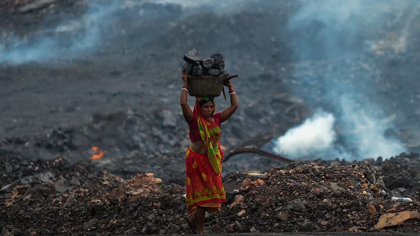 Supreme Court Bans Mining Near National Parks to Protect Wildlife