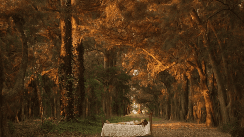 Survivor's Decade-Long Fight for Justice Inspires Intimate, Visually Striking Film