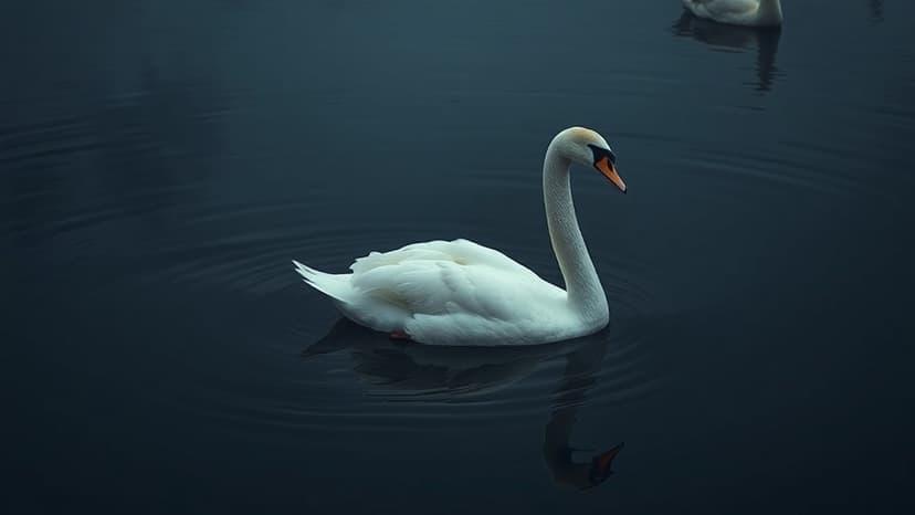 Dozens of Swans Die in London Docks Amid Avian Flu Fears