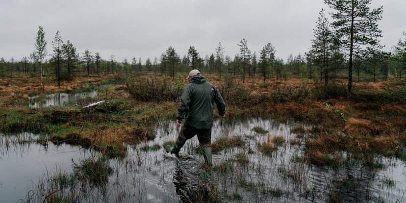 Sweden's Wetlands: Climate, Biodiversity, Defense Boost