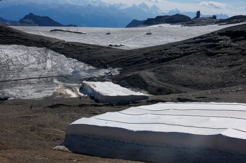 Sheep's Wool: A Biodegradable Glacier Shield?