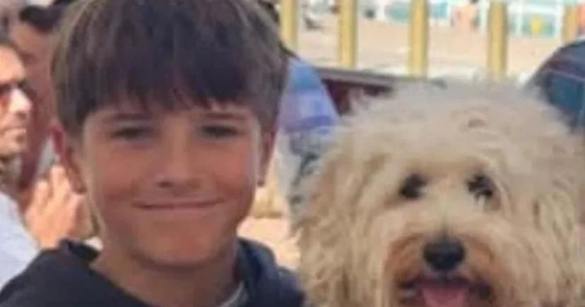 Sydney Shark Attack: Boy, 12, Declared Brain-Dead