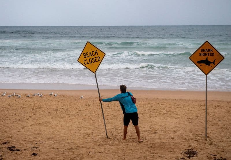 Sydney Shark Attack: Boy, 12, Honored at Bondi Beach