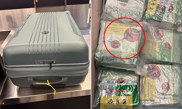 Sydney Woman Faces Life Over $13M Meth 'Tea' Bust