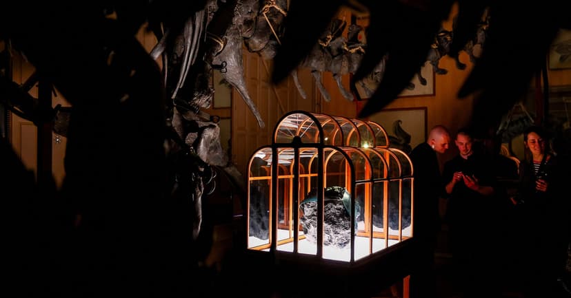 Dinosaur DNA Fuels Luxury Handbag Innovation